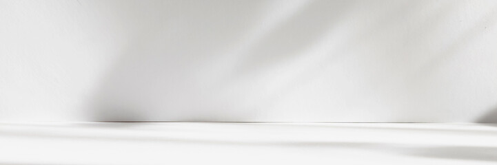 Abstract white studio background with shadows of window. Empty 3d room. Display product with...