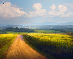 Italian Countryside Panorama of summer green field with dirt road and cloudy blue sky. Beautiful Italian summer rural landscape;