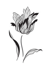 lace flower, bouquet, vector illustration