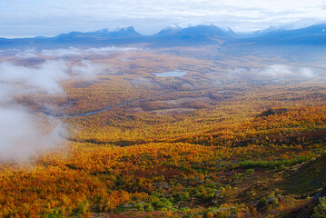 Autumn landscape in Abisko national park in north of Sweden.autumn,fall,
