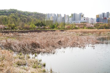 우포