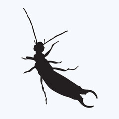 Earwig silhouettes and icons. Black flat color simple elegant Earwig animal vector and illustration.