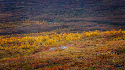 Autumn landscape in Abisko national park in north of Sweden.autumn,fall,