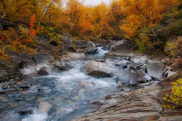 Autumn landscape in Abisko national park in north of Sweden.autumn,fall,