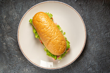 Close up view of delicious homemade sandwich on a white plate on dark distressed background with free space