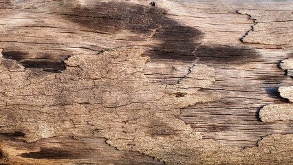 Natural old textured wood background