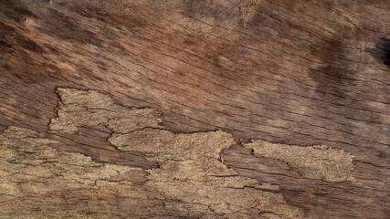 Natural old textured wood background