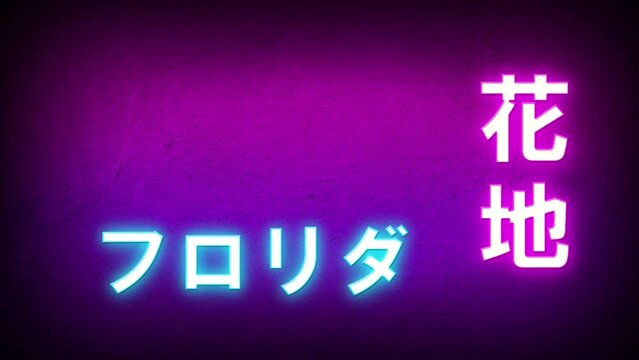 Glowing Neon Lights with Florida written in Japanese Letters Motion Graphics Video