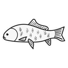 Fish Drawing Coloring Images Vector Template Sticker Transparent Background