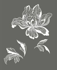 lace dahlias flowers and foliage. Vector illustration, bouquet.