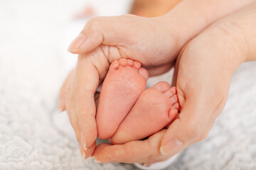 baby feet in mother hands - hearth shape	