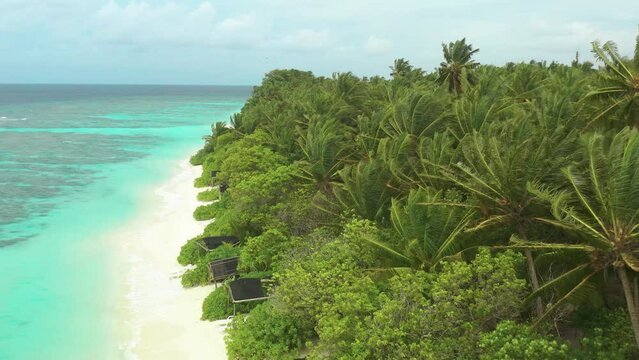 Aerial view a Tropical beach with palm trees, local Thinadhoo island, Vaavu atoll, Maldives.