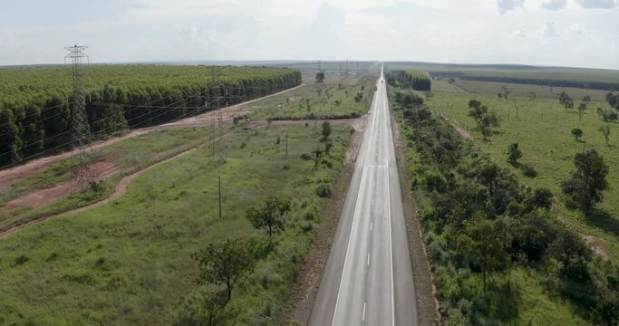 Road crossing a eucalyptus farm destined for the reforestation and cellulose industry, Ribas do Rio pardo, Mato Grosso do Sul, Brazil