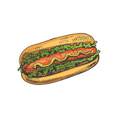 Hand-drawn colored sketch of hot dog isolated on white background. Fast food illustration. Vintage drawing. Great for menu, poster or restaurant background.