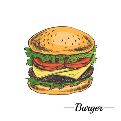 Hand-drawn colored sketch of great delicious sandwich, burger, hamburger isolated on white background. Fast food vintage illustration. Great for menu, poster or restaurant background.