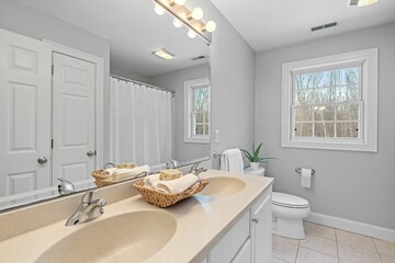 Modern bathroom with two white sinks and a mirror