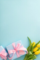 Mother's day trendy concept. Top view of trendy gift boxes and yellow tulips on pastel blue background with empty space for text or greeting message