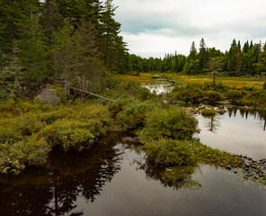 Fototapeta na wymiar Small creek and pools of water in Maine