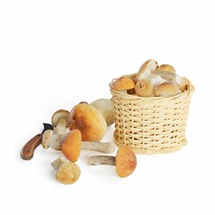 a wicker basket of mushrooms, 3d rendering