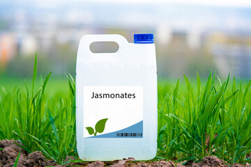 Jasmonates plant hormones that regulate plant defense responses, promote wound healing, and regulate plant growth and development.
