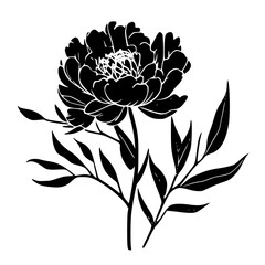 Peony | Black and White Vector illustration
