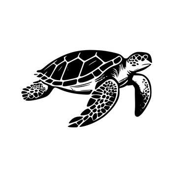 Sea Turtle | Minimalist and Simple Silhouette - Vector illustration