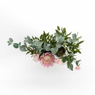 Closeup of a flowering plant isolated on a white background