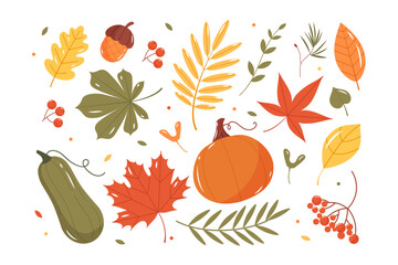 Set of different autumn leaves, berries, pumpkins and acorns. Flat vector illustration. © Aigul