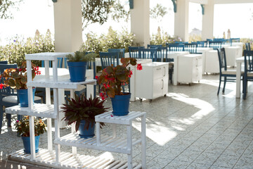 Outdoor sea view cafe empty interior, white and blue furniture, potted plants