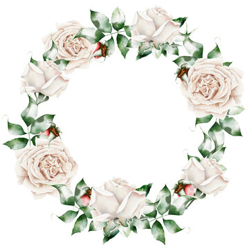 Vintage wreath frame white roses, wild rose watercolor illustration