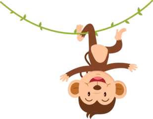 Papier Peint photo Singe cute cartoon monkey character on white background illustration