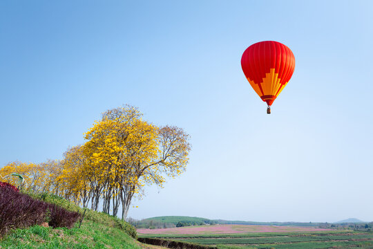 Color hot air balloon flight in the blue sky over the city, and white clouds nature background. transportation concept.