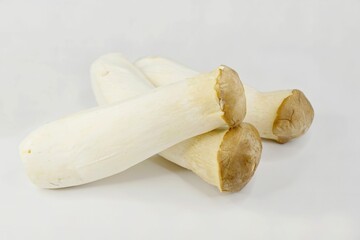 Close-up of three King Oyster Mushroom stalks with thick, meaty bright white stems