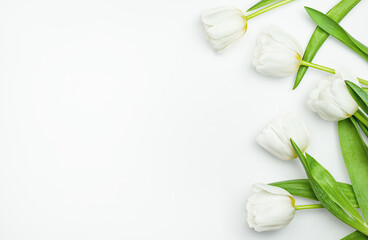 Fototapeta na wymiar white tulips on a light gray background, top view