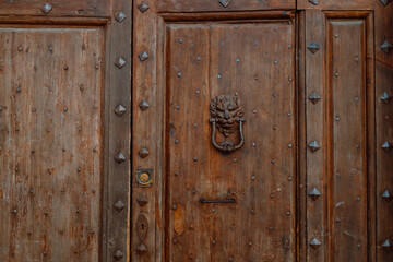 Brown beautiful door in Pisa,Italy. External wooden door and ivy on the wall