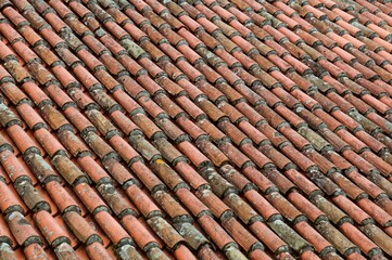 Red-tiled rooftop in German village, idyllic rural scene