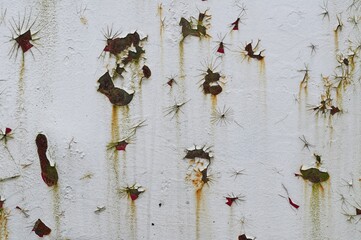 Close-up view of a white wall with chipped paint and rust, revealing a metal surface beneath