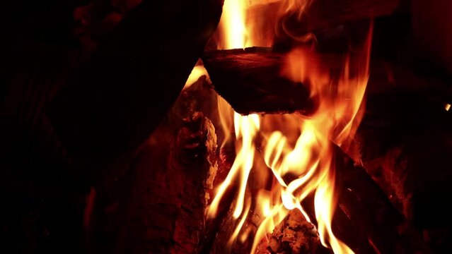 Video of fire with firewood (dry wood) in macro shot, detail. 