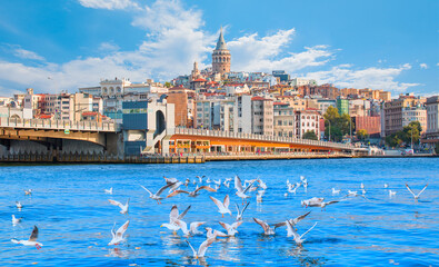 Obraz premium Galata Tower, Galata Bridge, Karakoy district and Golden Horn at morning, istanbul - Turkey - Large flock of seagulls flying at the sea