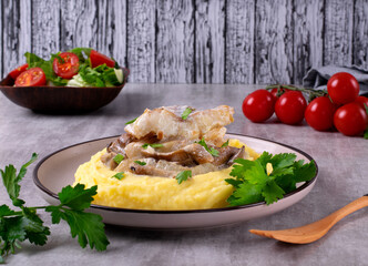 Fish stroganoff with white fish in cream sauce served with mashed potato on gray table