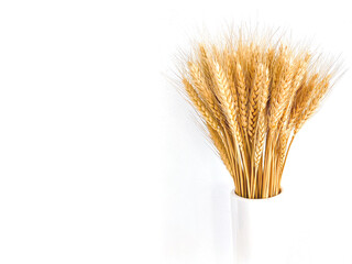 Barley wheat in the glasses vase for home decoration