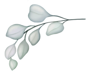 Watercolor drawing - Green individual Leaf - Plant - Single flower - Watercolor Clipart - Transparent background