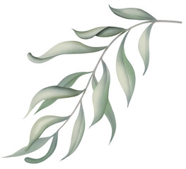 Watercolor drawing - Green individual Leaf - Plant - Single flower - Watercolor Clipart - Transparent background