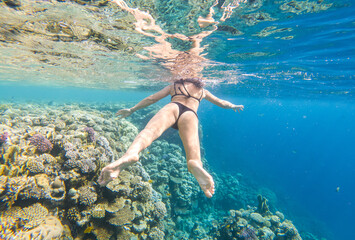 The girl swims underwater in the sea.