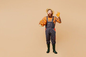 Full body young satisfied young bearded man wear straw hat overalls work in garden hold pumpkin show ok okay isolated on plain pastel light beige color background studio portrait Plant caring concept