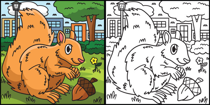 Squirrel Coloring Page Colored Illustration