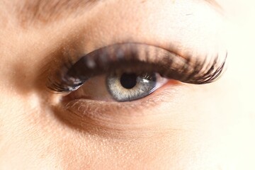 Fototapeta premium A closeup shot of a females blue eye with beautiful eyelashes