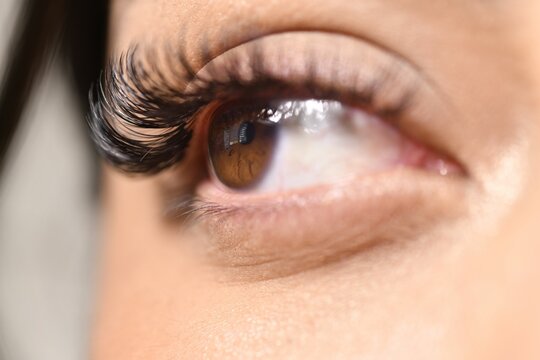 A closeup shot of a females eye with beautiful eyelashes