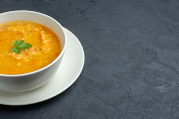 front view delicious soup inside white plate on a dark surface bread diner colourful meal horizontal restaurant dish food free space for text