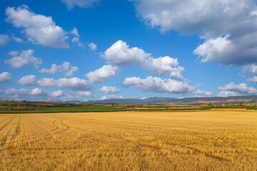 view of a crop field in Spain